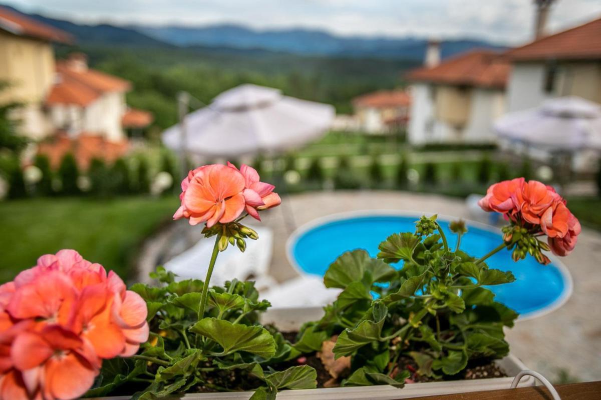Vila Gardenia Gumoshtnik Esterno foto